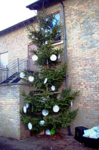 File:The last Christmas tree at Wessex Place - geograph.org.uk - 1086795.jpg