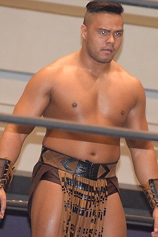 <span class="mw-page-title-main">Aaron Henare</span> New Zealand professional wrestler