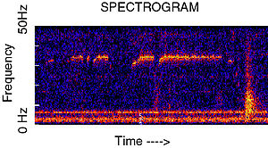 Train Spectrogram.jpg