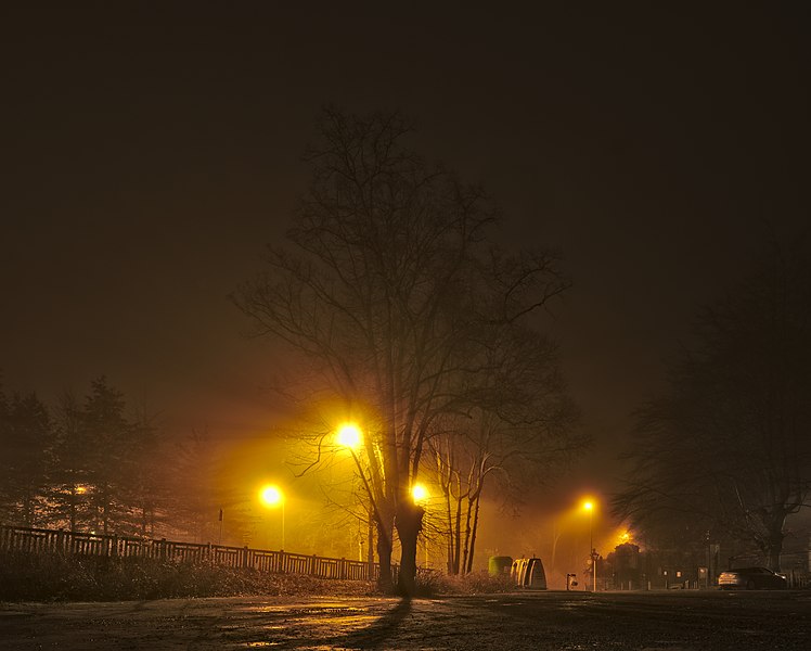 File:Tree outside of Gare de Boitsfort on a foggy morning in December (Belgium).jpg