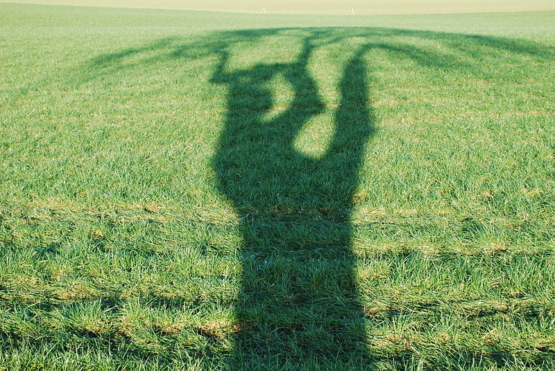 Fil:Tree shadow..jpg