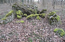 Immagine illustrativa dell'articolo Dolmen du Val d'Avril