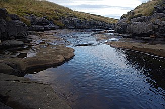 The Trout Beck