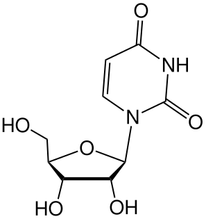 Uridine chemical compound