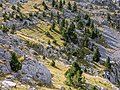 * Nomination Landscape on the trail to Portillo de Tella en el Valle de Pineta. Sobrarbe, Huesca, Aragon, Spain --Basotxerri 15:06, 9 June 2017 (UTC) * Promotion  Support Good quality.--Famberhorst 15:38, 9 June 2017 (UTC)