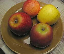 Various apples.jpg
