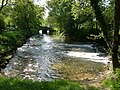 Français : Bras de la Charente aux ponts de Vibrac, Charente, France