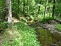 Čeština: Nedabylský potok u Vidova poblíž Českých Budějovic English: Nedabylský stream near Vidov, České Budějovice district, Czech Republic