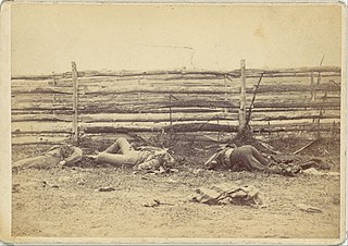 View in the Field, On the West Side of the Hagerstown Road, After the Battle of Antietam, Maryland, September 1862