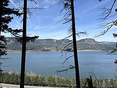 View of Columbia River from Larch Mountain Trail 441, near Multnomah Falls.jpg