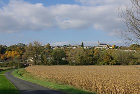 Сен-Мишель-сюр-Луар