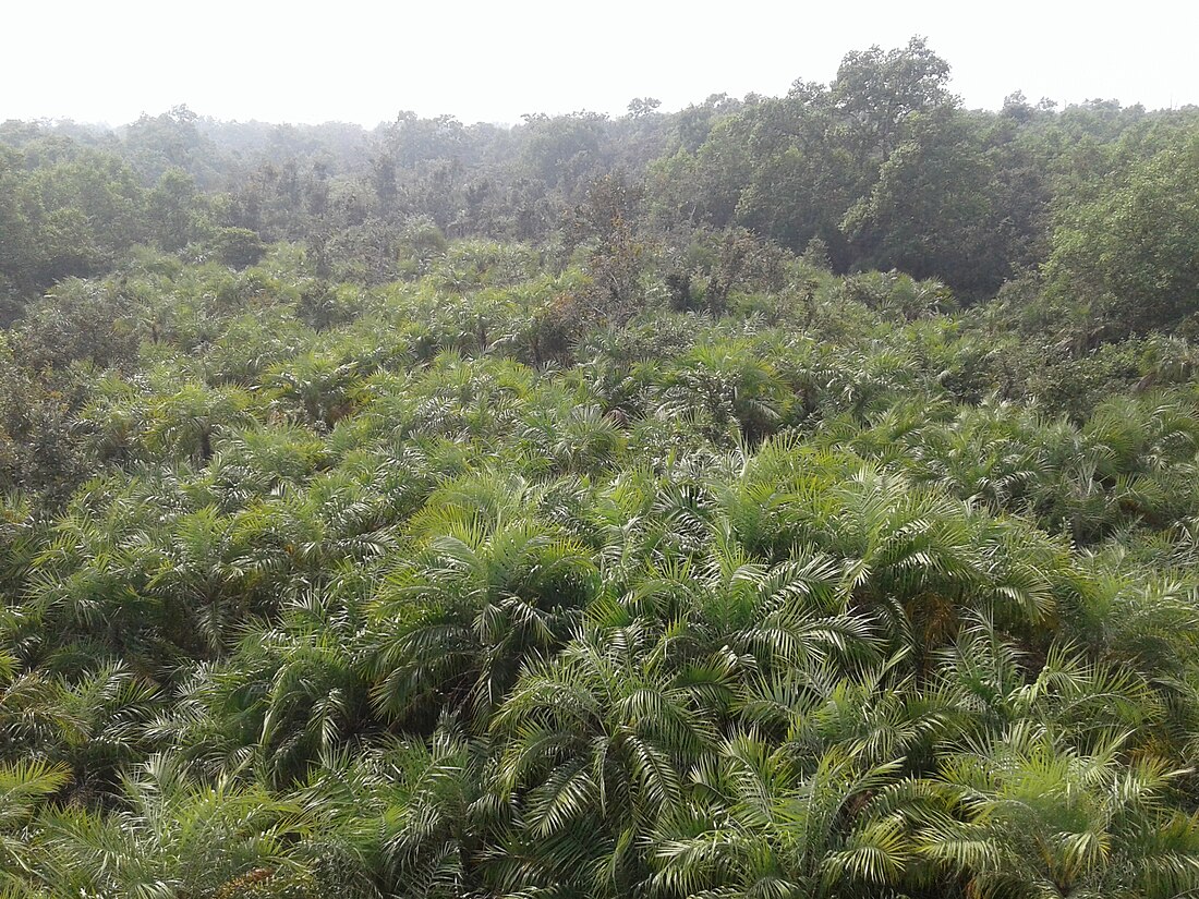 சத்பாய் வனவிலங்கு சரணாலயம்