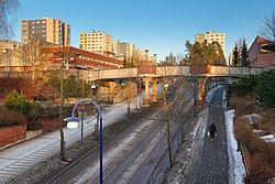 Havukoskea Koivukylän puistotien läheisyydessä keväällä 2021.