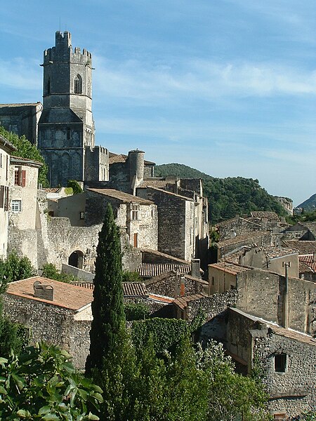 File:Viviers - Le village et la cathédrale.JPG