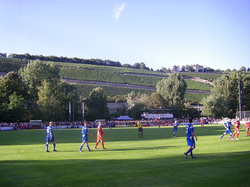 File:Würzburg Sepp-Endres-Sportanlage mit Weinberg.JPG