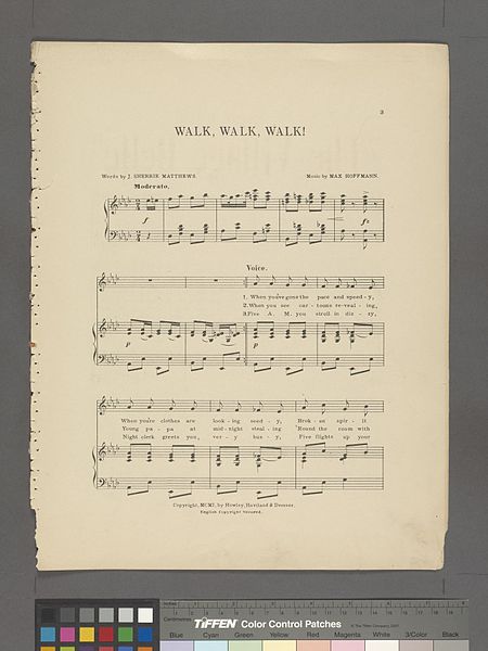 File:Walk, walk, walk! (NYPL Hades-1935900-1999326).jpg