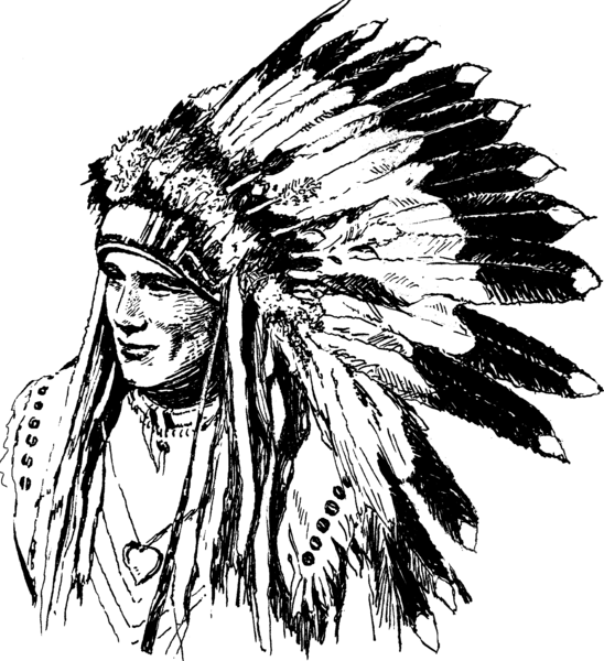 File:War Bonnet (PSF).png