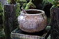 Water basin at Hozenji in Namba.