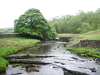 The Clough River west of Garsdale Station