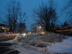 Skyline of Cedar Grove