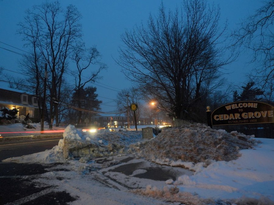 Cedar Grove page banner