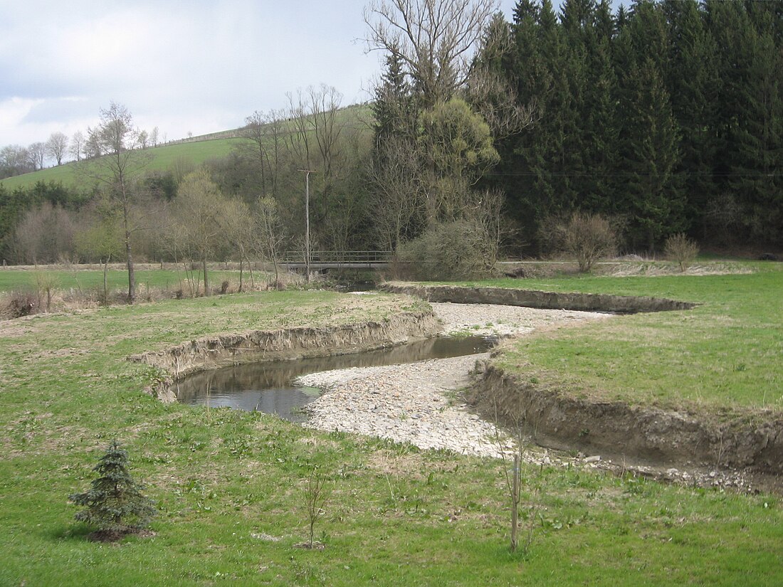 Landschaftsschutzgebiet Wenneaue von Niederberndorf bis nördlich Grimminghausen