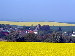 Westdorf - Vue