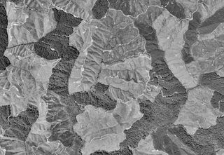 <span class="mw-page-title-main">Willapa Hills</span> Geologic, physiographic, and geographic region in southwest Washington, United States