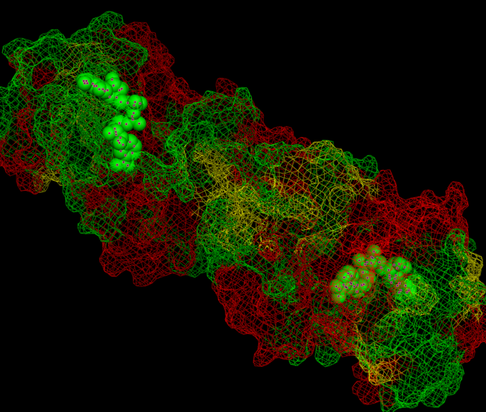 File:Ydib and NADH Binding Sites 2.png