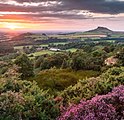Roseberry Topping in the North York Moors