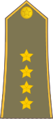 Капитан 1-го класса Югославской народной армии, ВС Союзной Республики Югославии и ВС Сербии и Черногории (1982—2006)