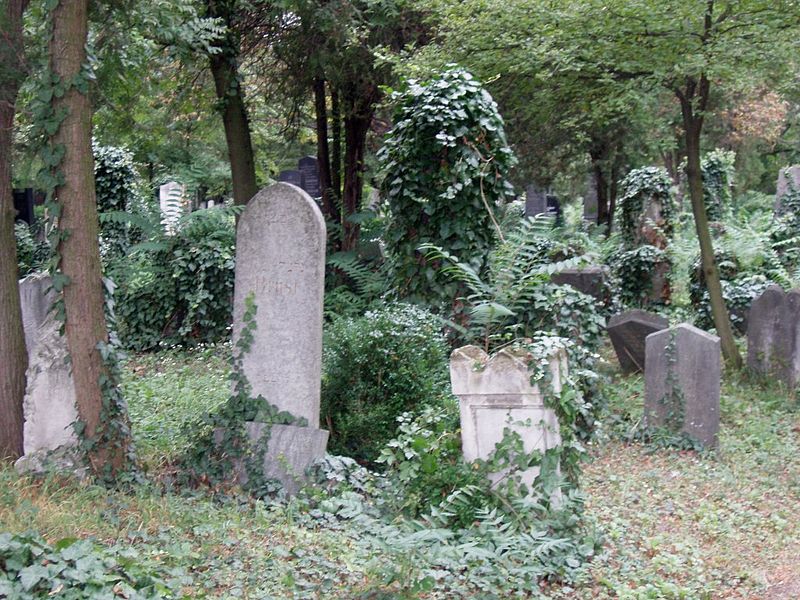 File:Zentralfriedhof Wien JW 028.jpg