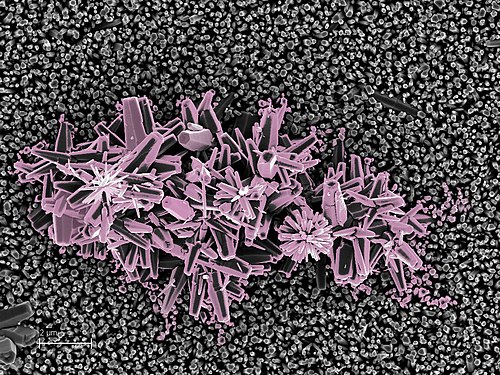 Nečistoty při růstu nanodrátků oxidu zinečnatého způsobují defekty ve tvaru květin