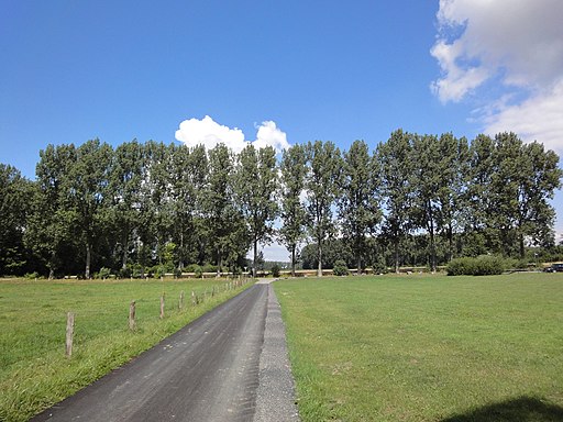 Zum Schloß Oberwerries - panoramio