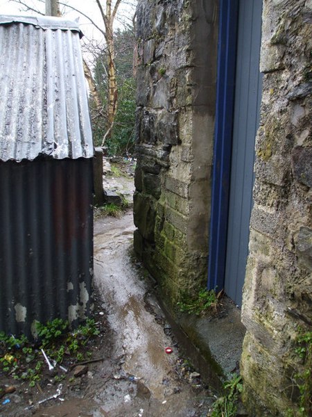 File:"A rat's pad", Omagh - geograph.org.uk - 1193200.jpg