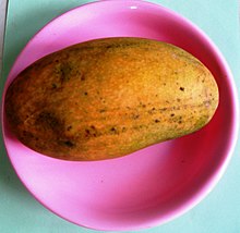 'Dasheri' mango 'Dasheri' mango.jpg