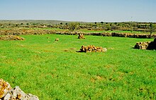 Sattes Grün des hochkommenden Wintergetreides überzieht im Frühjahr die Terra-Rossa-Böden in den Uvalas auf den Hochflächen der Mardin-Schwelle, wie hier bei Ömerli zwischen Mardin und Midyat Mitte April 2004.