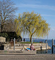 * Nomination Waterfront Überlingen, district Bodenseekreis, Baden-Württemberg, Germany --DKrieger 22:58, 21 March 2014 (UTC) * Promotion Good quality and very nice imo.. --JLPC 23:05, 21 March 2014 (UTC)