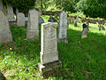 Čeština: Židovský hřbitov v obci Hořepník, okres Pelhřimov, kraj Vysočina. English: Jewish cemetery in the town of Hořepník, Pelhřimov District, Vysočina Region, Czech Republic.