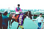 スターマン (競走馬)のサムネイル