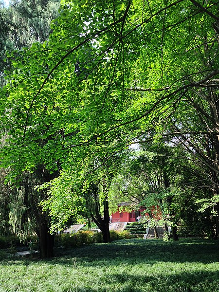 File:南京明孝陵景区享殿前 - panoramio.jpg