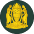 05-Tanzania Army-WO2.svg