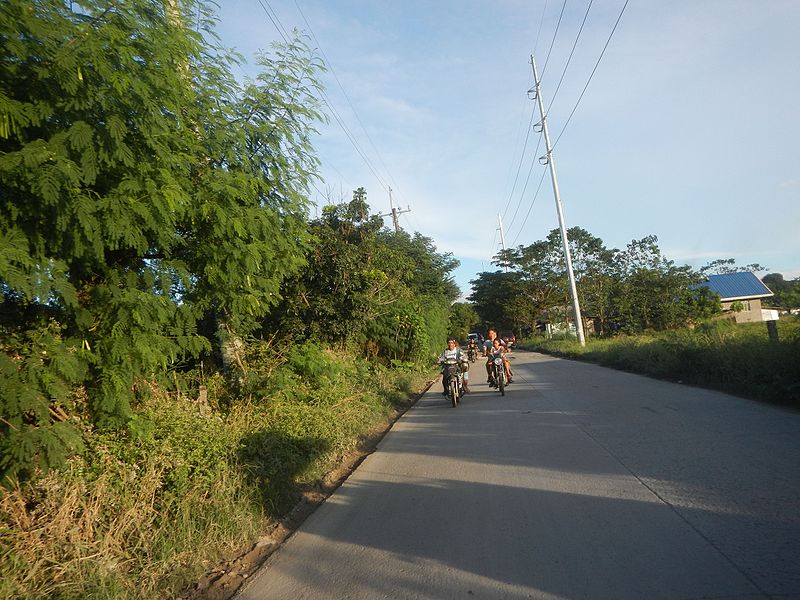 File:0601jfPaddy fields grasslands Gabihan San Ildefonso Bulacan Roadfvf 25.jpg