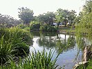 ひょこたん池公園