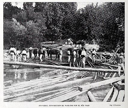 Timber fluvial transportation in the Tagus, near Aranjuez (1908)