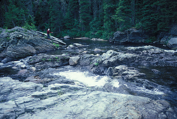 Lower North Branch Little Southwest Miramichi River, a tributary to the Little Southwest Miramichi River (IR Walker 1986).