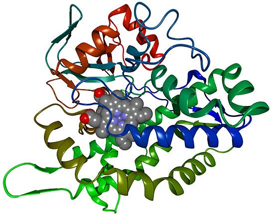 Ферменты рисунок. Ферменты цитохром p450. Цитохром p450 строение. Цитохром p450 в печени. Цитохром p450 формула.