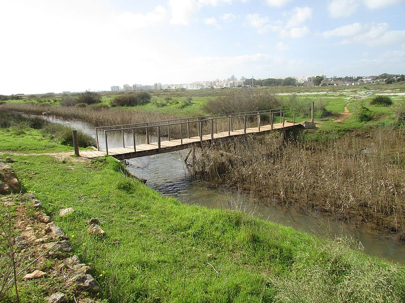 File:2017-02-05 Footbridge over the Alcantarilha river (2).JPG