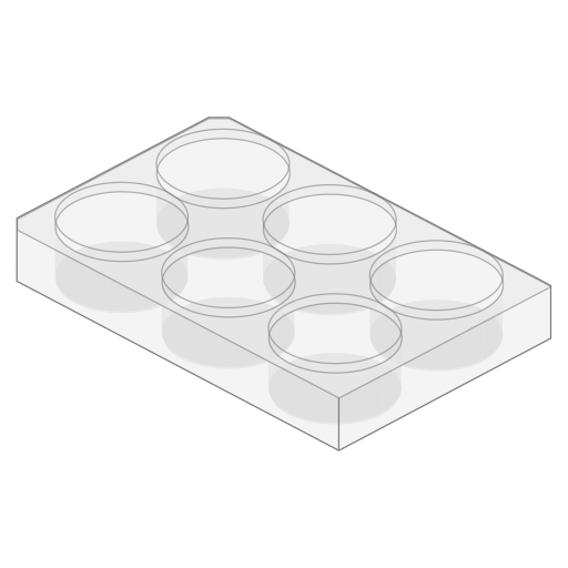 File 12 Cell Culture Plate Size 6 Wells Svg Wikimedia Commons