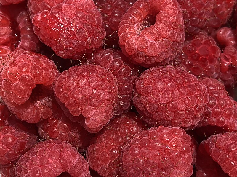 File:2021-07-10 12 40 02 A sample of Driscoll's Raspberries in the Franklin Farm section of Oak Hill, Fairfax County, Virginia.jpg